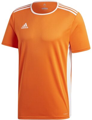adidas Fußball - Teamsport Textil - Trikots Entrada 18 Trikot Kurzarm bei Amazon bestellen