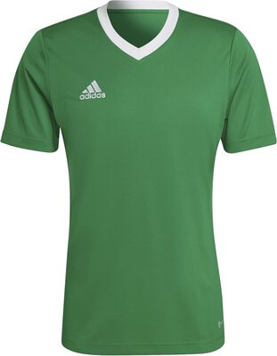 adidas HI2123 - Entrada 22 Trikot grün bei Amazon bestellen