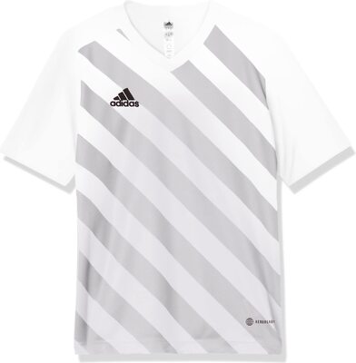 adidas Kids' Entrada 22 Graphic Jersey, White/Team Light Grey, X-Small bei Amazon bestellen