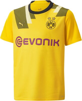 Alle Details zum Fußball-Trikot Borussia Dortmund Jungen Saison 2022/23 Offizielle Trikot und ähnlichen Trikots