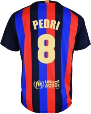 Alle Details zum Fußball-Trikot Champion's City Pedri 8 Heimtrikot 2022/23 - Offizielle Replik FC Barcelona - Erwachsene und ähnlichen Trikots