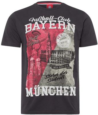 Alle Details zum Fußball-Trikot FC Bayern München T-Shirt - Heimat - FCB Shirt anthrazit div. Größen und ähnlichen Trikots