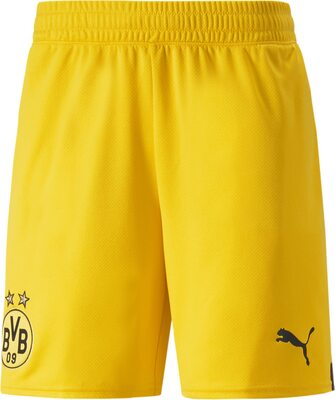 Alle Details zum Fußball-Trikot Manchester City, Shorts Herren, Saison 2022/23 Offizielle und ähnlichen Trikots