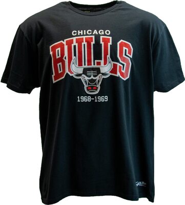 Mitchell & Ness NBA Hardwood Classics Team Arch Shirt bei Amazon bestellen