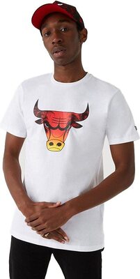New Era Chicago Bulls NBA Summer City Infill T-Shirt bei Amazon bestellen