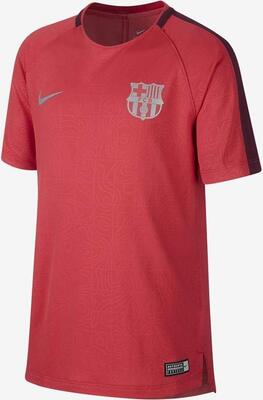 Nike Unisex Kinder Fc Barcelona Dry Squad T-Shirt bei Amazon bestellen