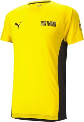 Alle Details zum Fußball-Trikot PUMA Herren BVB Evostripe Tee T-Shirt und ähnlichen Trikots