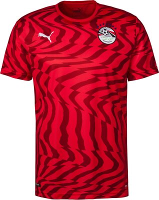 PUMA Herren Egy Home Shirt Replica Trikot bei Amazon bestellen