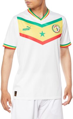 PUMA Herren Fsf Home Jersey Replica Pullover bei Amazon bestellen
