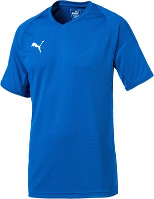 PUMA Herren Liga Indoor Jersey Pro Trikot bei Amazon bestellen