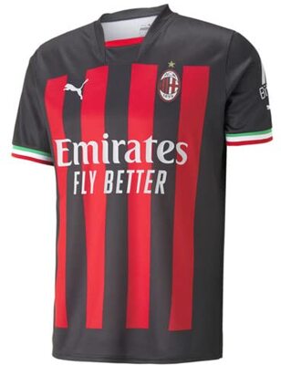 PUMA Herren Saison 2022/23 Offizielle Heimtrikot Trikot bei Amazon bestellen