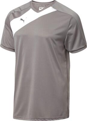 PUMA Herren Santiago Tg Mens Jersey Santago TG Herren-Trikot bei Amazon bestellen