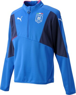 Alle Details zum Fußball-Trikot PUMA Herren Shirt FIGC Italia Stadium Top und ähnlichen Trikots