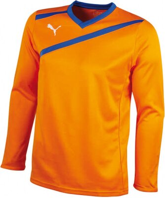 PUMA Herren Torwartshirt Esito GK bei Amazon bestellen
