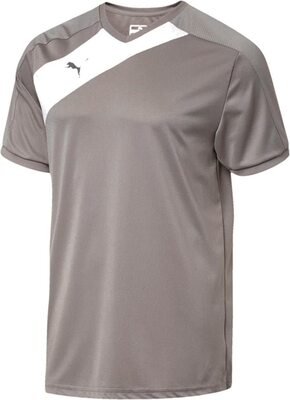 PUMA Herren Youth Jersey Santiago TG Jugend-Trikot bei Amazon bestellen