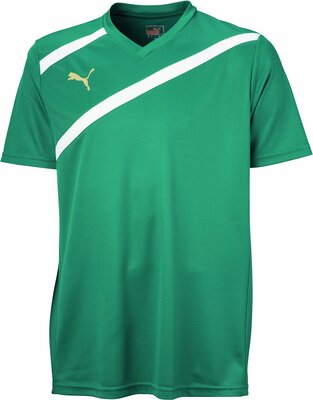 PUMA Kinder Trainingsshirt Esito 3 bei Amazon bestellen