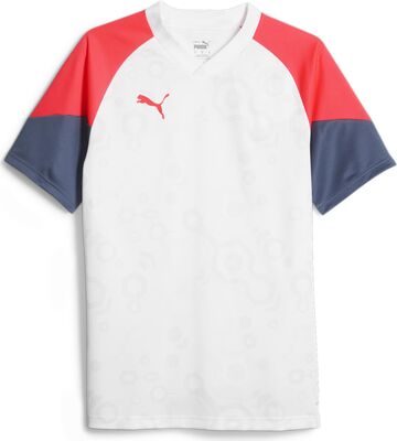 PUMA Men's IndividualCUP Jersey T-Shirt bei Amazon bestellen
