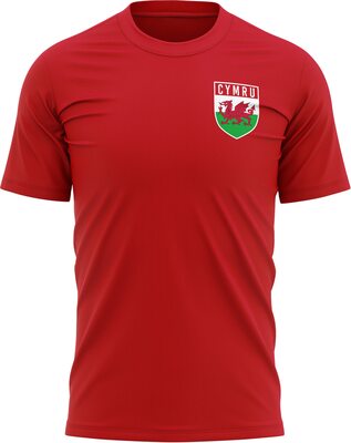 Purple Print House Cymru Trikot Fußball – Herren Cymru-Flagge Abzeichen Retro T-Shirt – Fußball Land Europa 2021 Fan Geschenke für ihn – 2020 Wales-Turnier Fußball-Top bei Amazon bestellen
